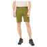 Фото #2 товара VIKING Sequoia shorts