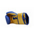 Masters Boxing Gloves RPU-COLOR/GOLD 10 oz 01439-0210