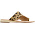 Фото #1 товара COCONUTS by Matisse Whitney Leopard Flat Womens Brown Casual Sandals WHITNEY-LE