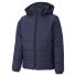 Фото #2 товара PUMA TeamLiga Padded Jacket