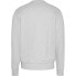 TOMMY JEANS Entrey Graphic Crew Neck long sleeve T-shirt