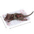ATOSA Muertain Rat Access Halloween Tray Figure