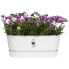 Ящик для цветов elho Greenville Oval Pflanzer - Plastik - mit Rollen - 60 - Weiß