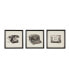 Фото #1 товара Vintage Models 3-Piece Framed Wall Art Set