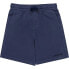 Фото #2 товара ELEMENT Cornell 3.0 Shorts