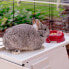 Фото #9 товара Клетка для кроликов Ferplast Krolik 140 Plus Металлическая Пластиковая 142 x 50 x 60 см