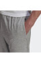 Essentials Big Logo Single Jersey 7/8 Pants