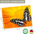 Фото #13 товара Tischset Schmetterling III (12er-Set)