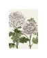 Фото #1 товара Naomi Mccavitt Early Spring Chrysanthemums III Canvas Art - 20" x 25"