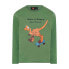 ფოტო #1 პროდუქტის LEGO WEAR Taylor 701 long sleeve T-shirt