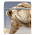 Briefkasten Stahl Kamele