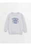 Фото #2 товара LCW baby Bisiklet Yaka Uzun Kollu Baskılı Erkek Bebek Sweatshirt