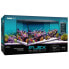 ფოტო #2 პროდუქტის FLUVAL Flex Marino 123L aquarium