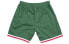 Фото #2 товара Баскетбольные шорты Mitchell&Ness Swingman в стиле фанатов, зеленые, для пары