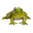 SAFARI LTD American Bullfrog Figure