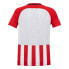 Фото #2 товара Nike Striped Division Jr 894102-658 football shirt