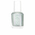 Фото #1 товара Лак для ногтей Essie Essie Color Nº 632 13,5 ml