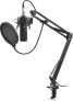 Mikrofon Genesis Radium 300 XLR Statyw, popfiltr (NGM-1695)