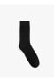 5'li Basic Soket Çorap Seti Çok Renkli