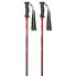 MASTERS Rental Carbon poles