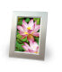 Фото #6 товара Avery Zweckform Avery Premium Inkjet - A4 - 300g - High-gloss - 300 g/m² - Inkjet - A4 - White - 20 sheets