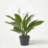 Фото #7 товара Kunstpflanze Spathiphyllum Wallisii