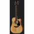 Takamine GD30CE-N