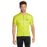 ZIENER Nearo short sleeve jersey