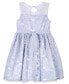 Toddler Girls Mesh Sweetheart Illusion Lace Dress