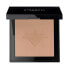 Фото #2 товара STENDHAL Compacte Perfectrice 120 Powders