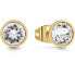 Фото #1 товара Frontiers Gold Plated Clear Cubic Zirconia Earrings JUBE02159JWYGT/U