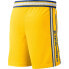 [aq3716-728] Mens Nike NBA Golden State Warriors Home Swingman Shorts