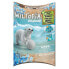 PLAYMOBIL Wiltopia Young Polar Bear