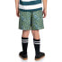 ELEMENT Canyon Timber Youth Shorts
