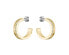 Decent gold plated hoop earrings 1580522