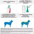 FRONTLINE Hundekombination - 10-20 kg - 4 Pipetten