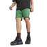 Фото #1 товара PUMA SELECT T7 For The Fanbase M shorts