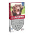 Фото #1 товара ADVANTIX 4-Pipetten gegen Parasiten - Fr groe Hunde ber 25 kg