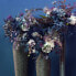 Фото #3 товара Искусственные цветы SIA Fantasy-Laub