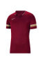 Cw6104 Dri Fit Academy Bordo