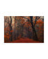 Anton Van Dongen Decorative Forrest Canvas Art - 37" x 49"