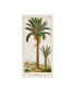 Turpin Turpin Exotic Palms IV Canvas Art - 15" x 20"