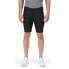 REGATTA Cobain Shorts