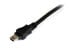 Фото #6 товара StarTech.com 6 ft USB Y Cable for External Hard Drive - USB A to mini B - 1.8 m - Mini-USB B - 2 x USB A - USB 2.0 - Male/Male - Black - Red