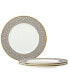 Infinity 4 Piece Dinner Plate Set, Service for 4