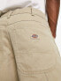 Dickies duck canvas carpenter trousers in desert sand