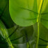 Декоративное растение Зеленый 95 cm ручей