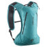 Фото #1 товара SALOMON Cross 4L backpack