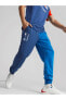 Фото #4 товара Брюки спортивные PUMA BMW MMS ESS FT Pants Pro Blue-M 53814504