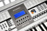 McGrey PK-6110 Keyboard (61 Keys, 100 Tones, 100 Rhythms, Learning Function, Power Supply, Music Stand)